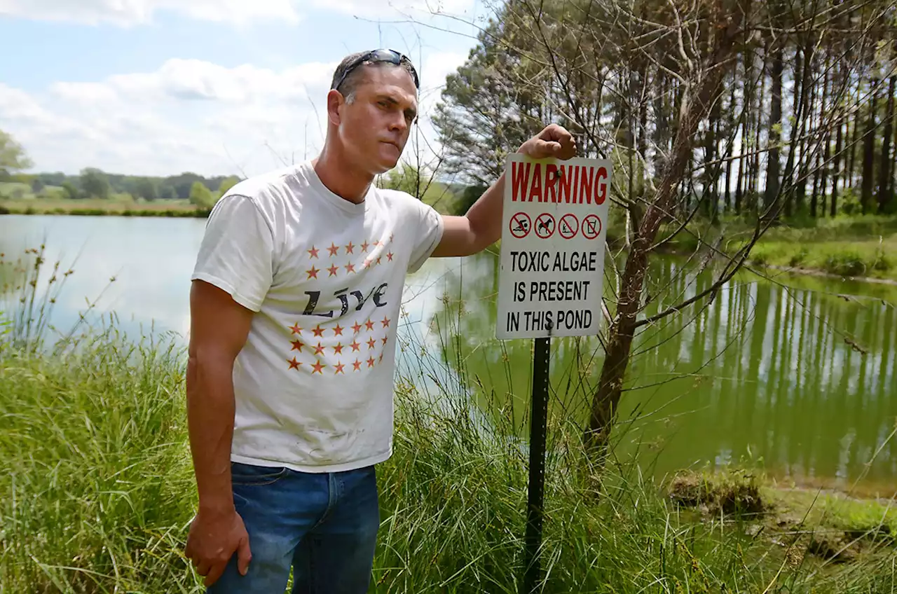 Avenging his cattle’s death, Mississippi farmer discovers a pollution loophole