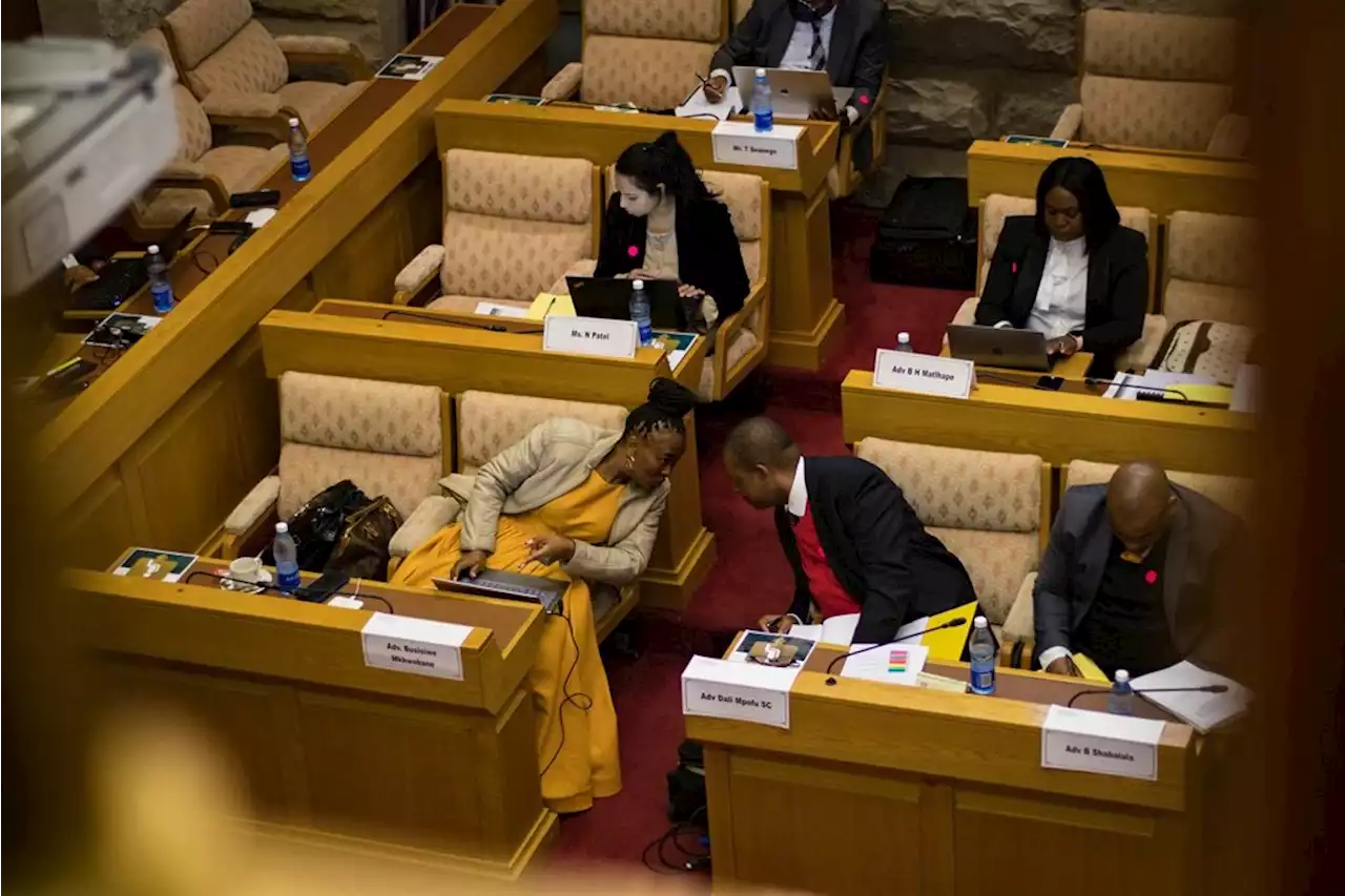 Mkhwebane impeachment hearings: Mpofu continues to rail against suspension, lawfulness of process | News24