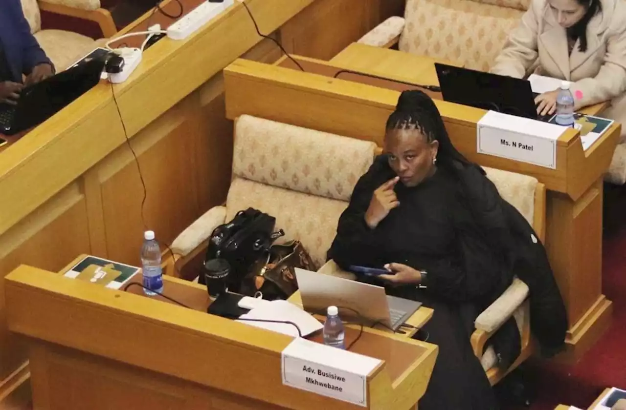 Mkhwebane never sought Van Loggerenberg's testimony when investigating 'rogue unit', committee hears | News24