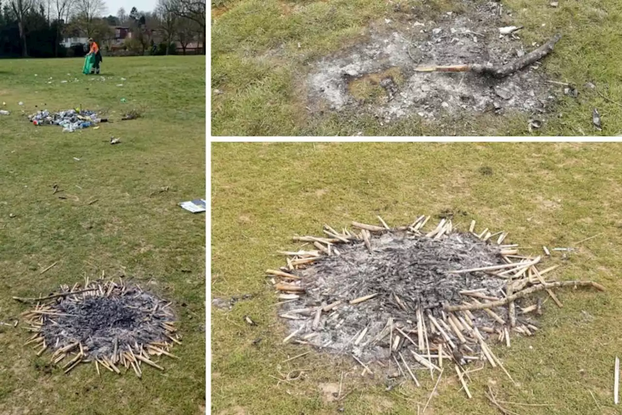 Barbecues banned in parks amid significant rise in rule-flouting