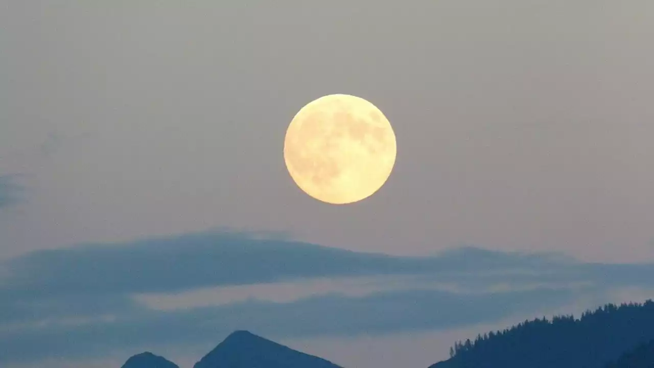 Luna de Ciervo: cómo ver desde Argentina la superluna más grande del año