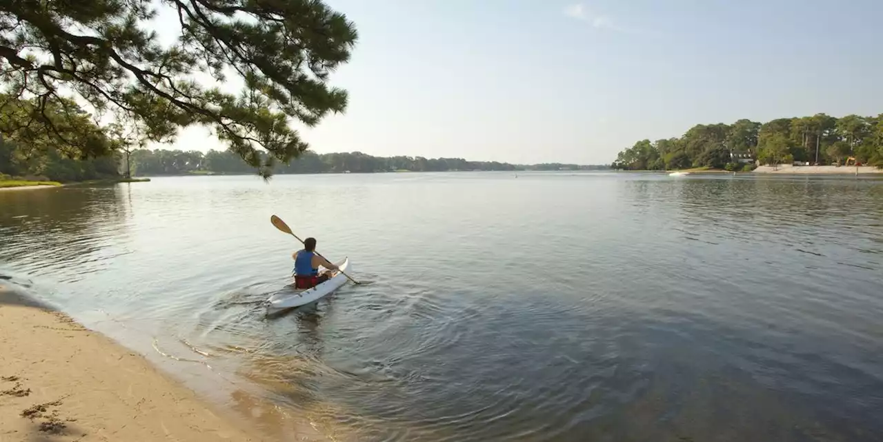 Iowa Swimmer Contracts Rare Brain-Eating Amoeba in Lake Prompting Beach Closure