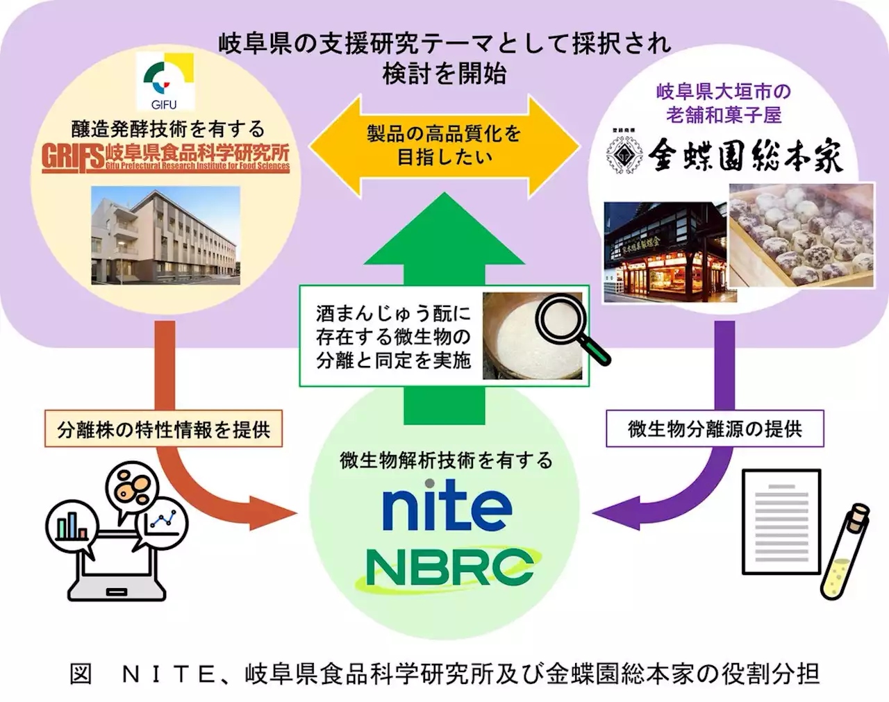 伝統の酒まんじゅうの発酵過程を先端技術で明らかに