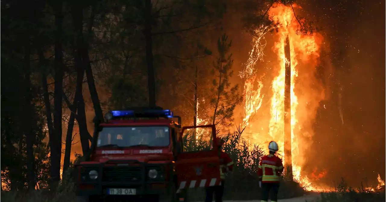 Scorching heatwave sparks wildfires in Europe