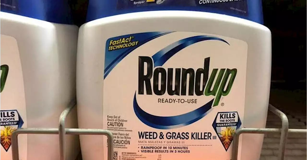 U.S. appeals court revives Roundup weedkiller cancer lawsuit