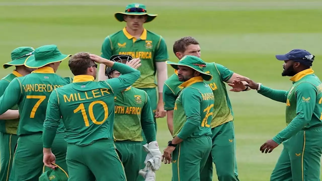 South Africa pull out of Australia ODI series - SABC News - Breaking news, special reports, world, business, sport coverage of all South African current events. Africa's news leader.