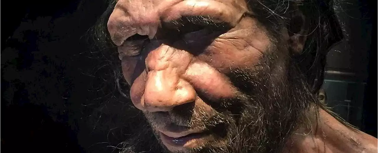 Some of Us Are Part-Neanderthal, And It Could Affect How You Process Medicines