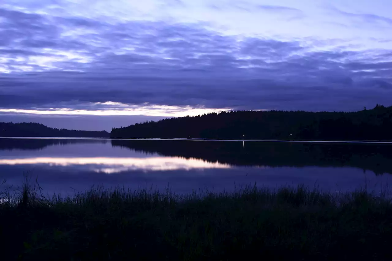 'They really pop': How to see the rarest clouds in the world