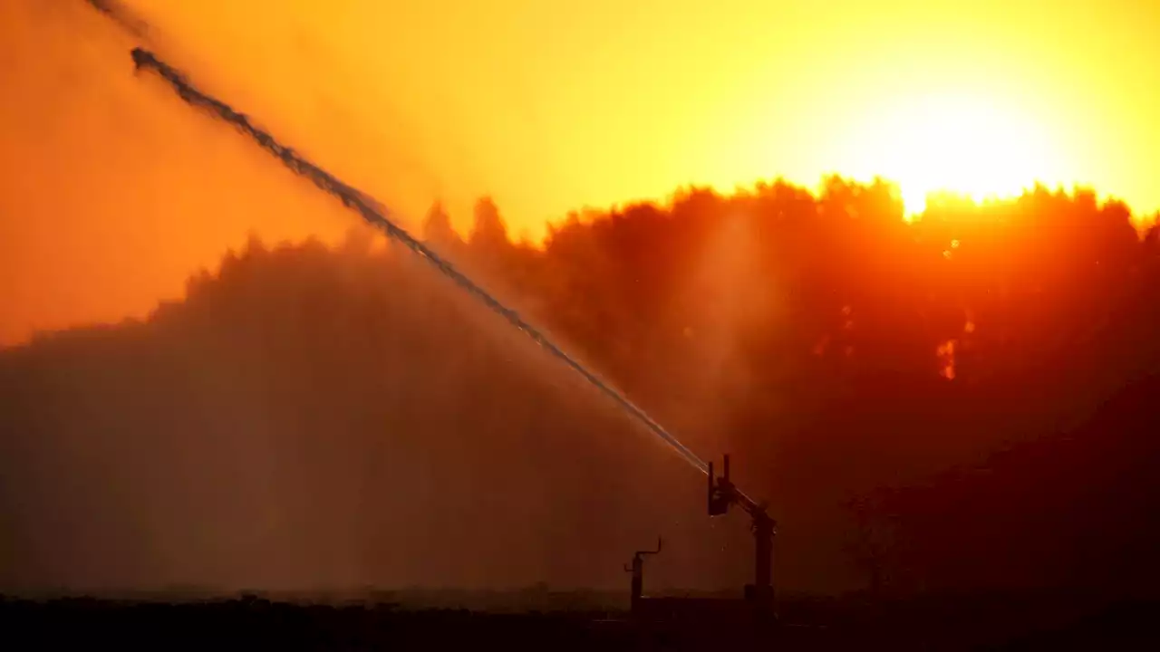 Name heatwaves as part of UK warning system to save lives, scientists say