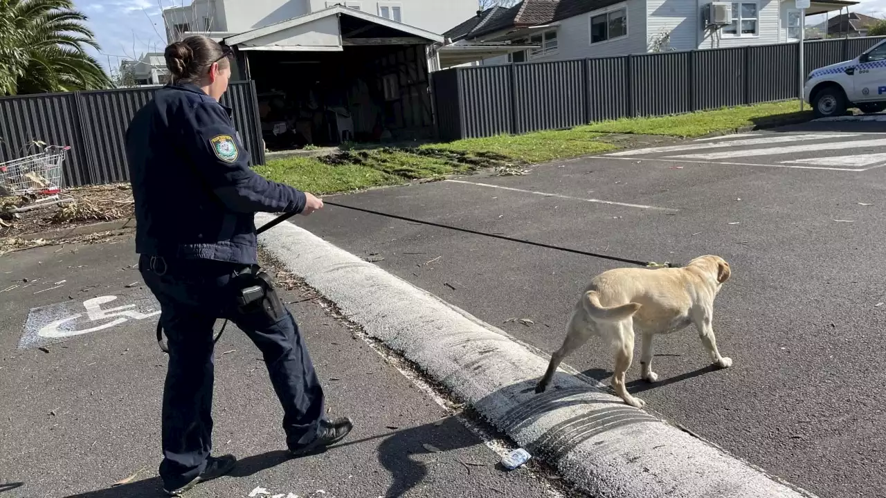 Police issue appeal after Sydney homes were peppered with bullets