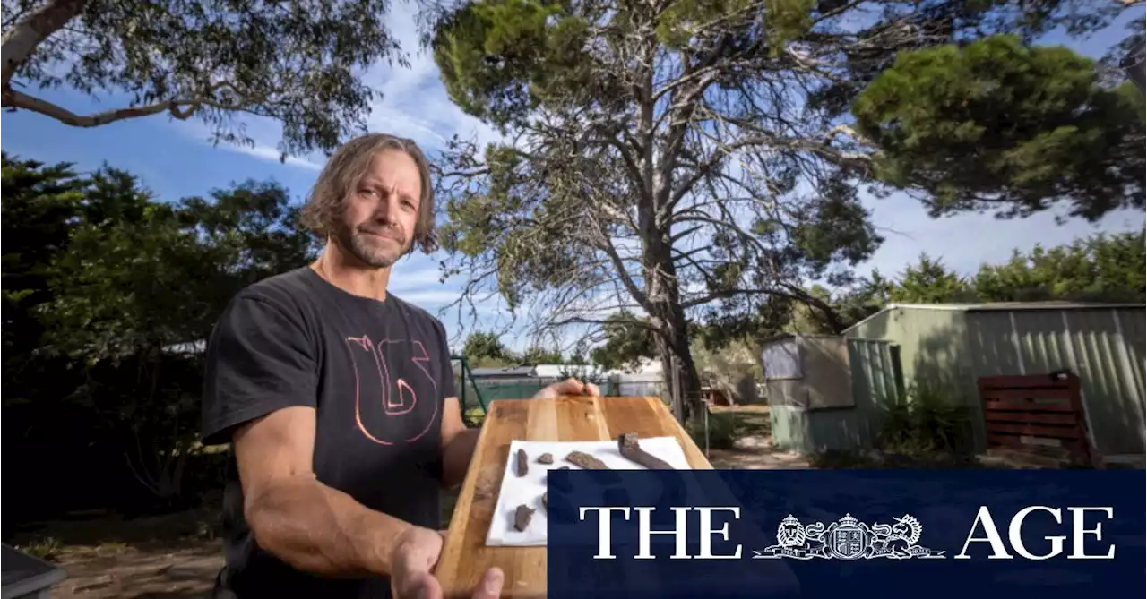 ‘Phar Lap Tree’ gains heritage protection at St Albans Park estate