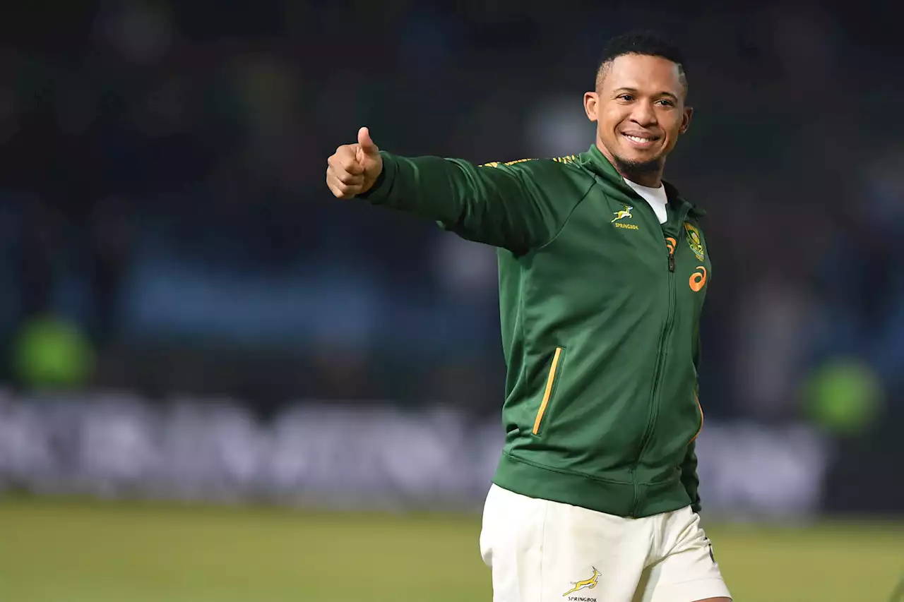 Jantjies still in Bok plans but 'doesn’t fit into the six-two bench split' | The Citizen