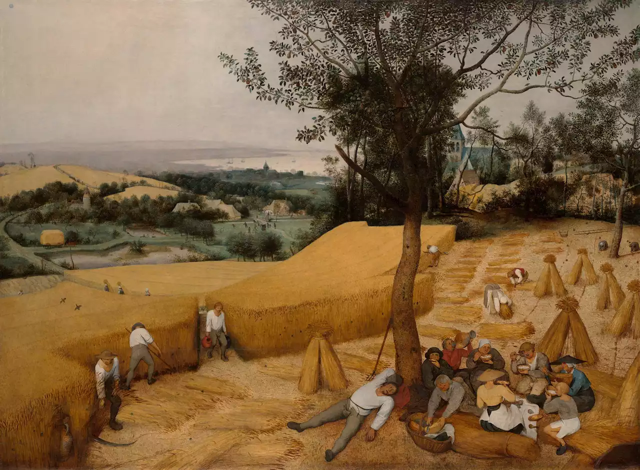 The weather may be hot now but it’s a breeze compared to the megadrought heatwave of 1540