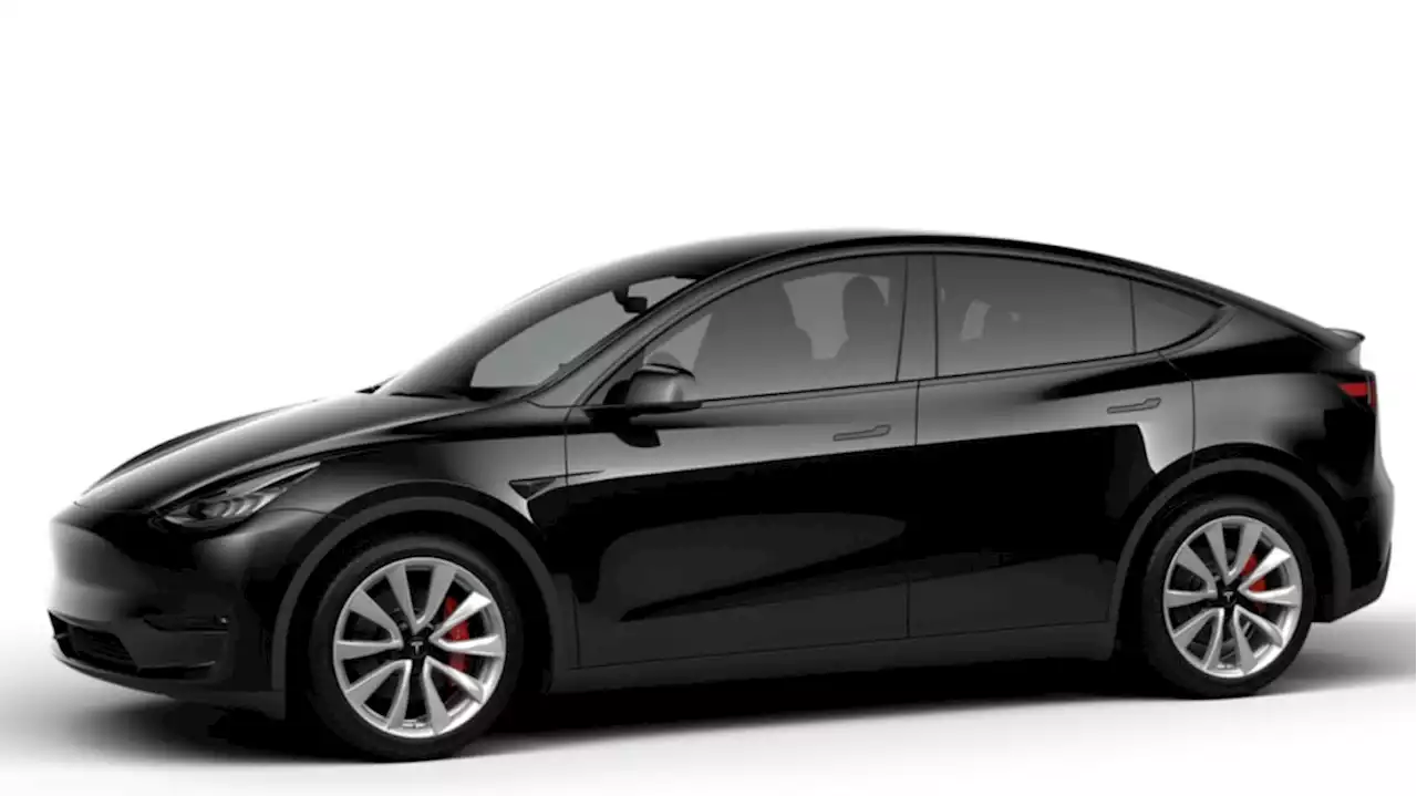 Tesla's Berlin factory reportedly only building black and white cars