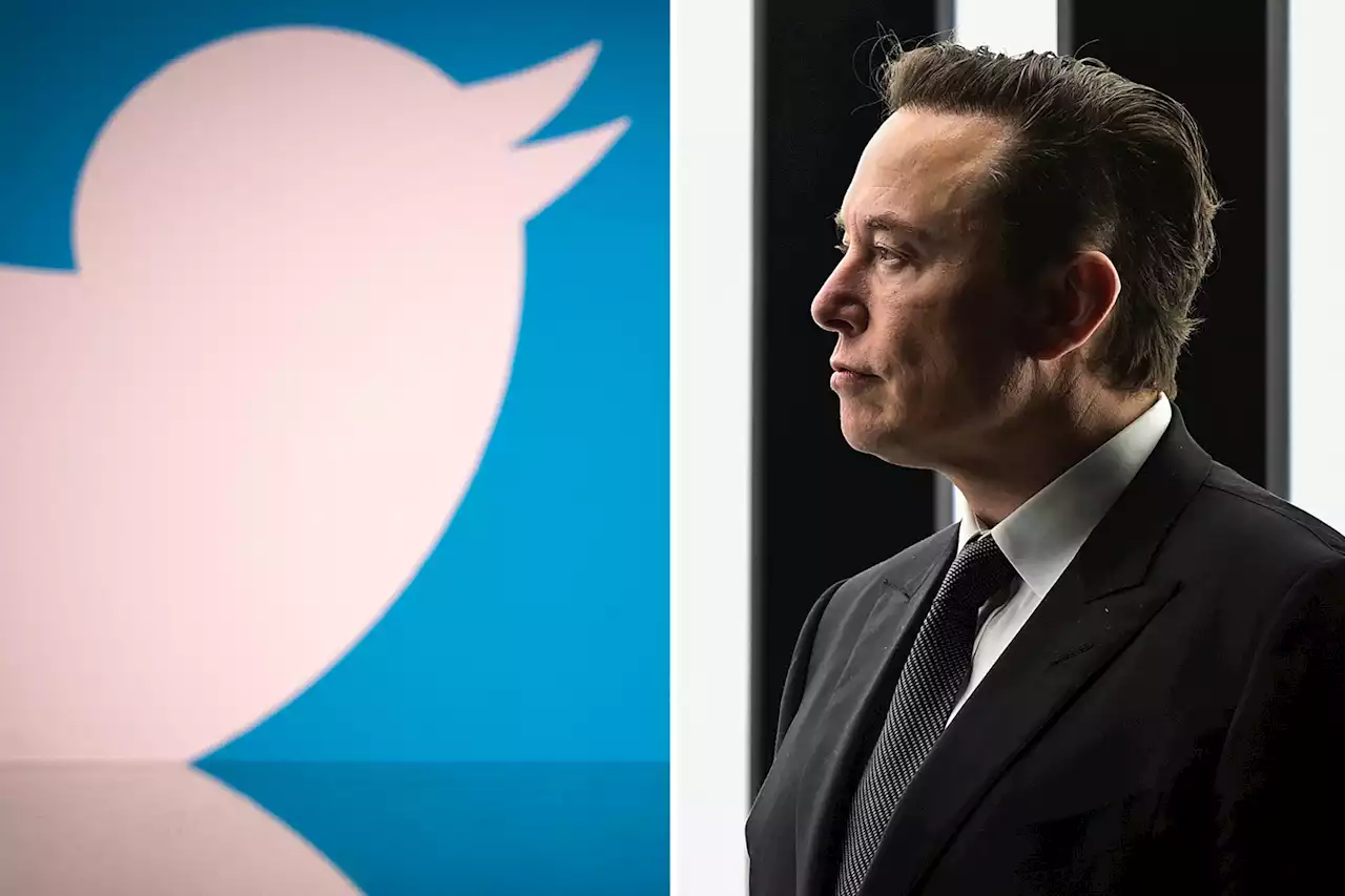 Elon SUED by Twitter for 'backing out of $44bn deal' to buy platform