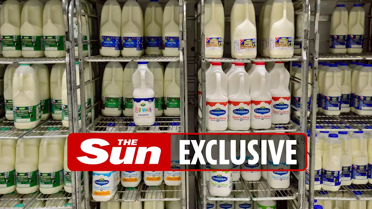 Supermarkets hike milk prices - and one supermarket has increased costs by 16%