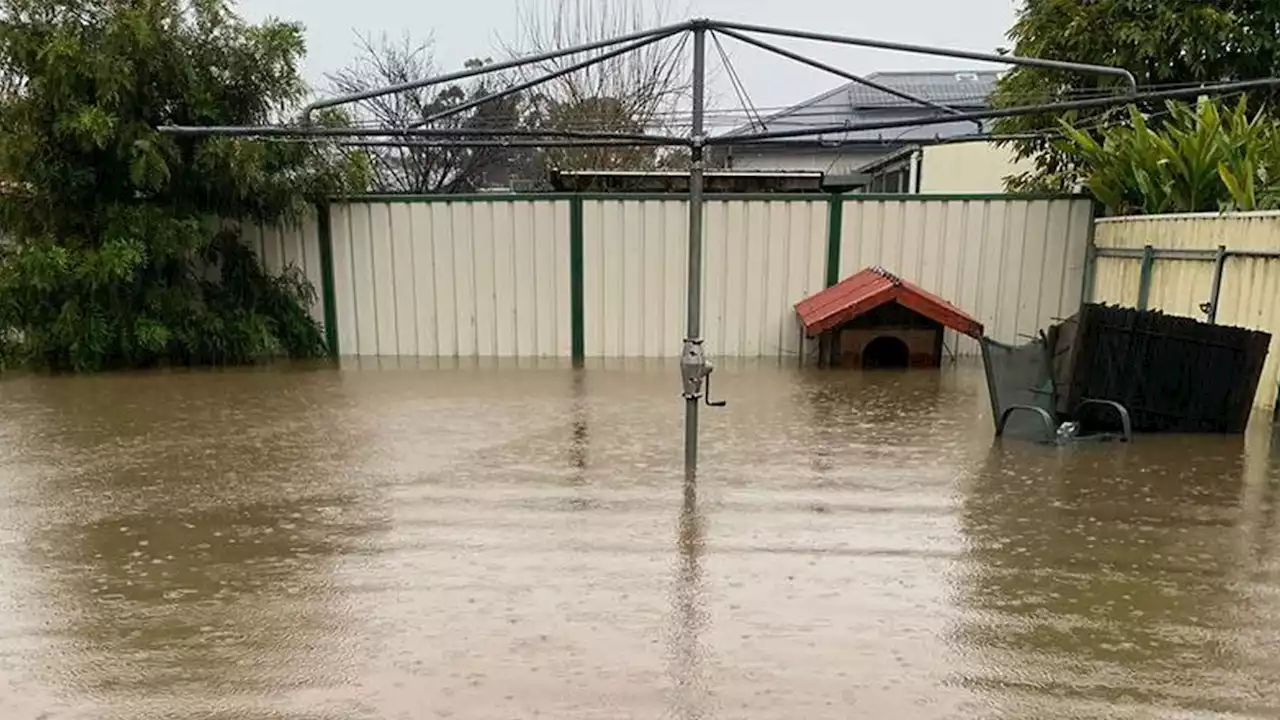 We got a £160 parking ticket for moving car when driveway was 10ft underwater