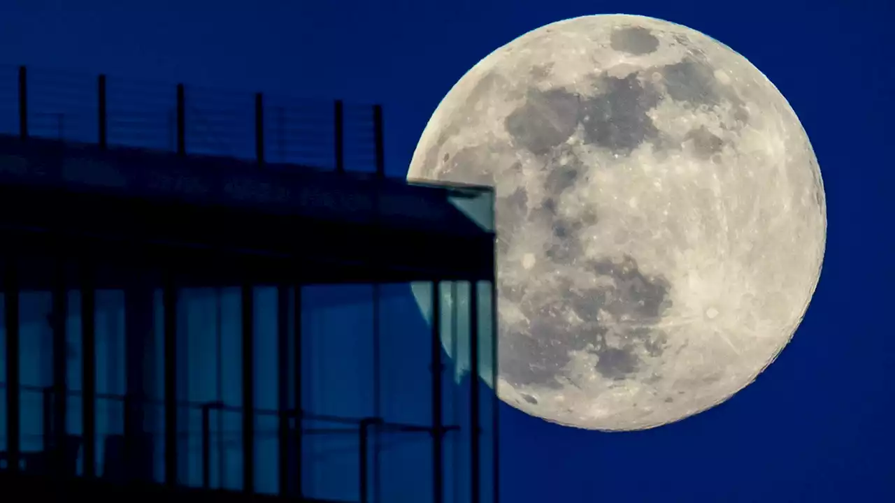 Foto-Tipps: So lichten Sie den Mond mit Kamera oder Handy ab