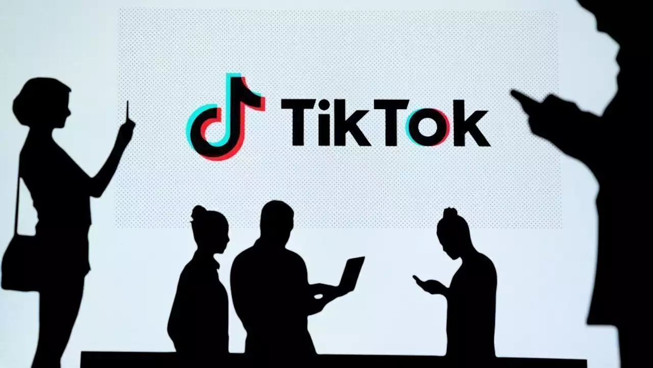 Tiktok stoppt umstrittene Umstellung der Datenschutzrichtlinien | W&V