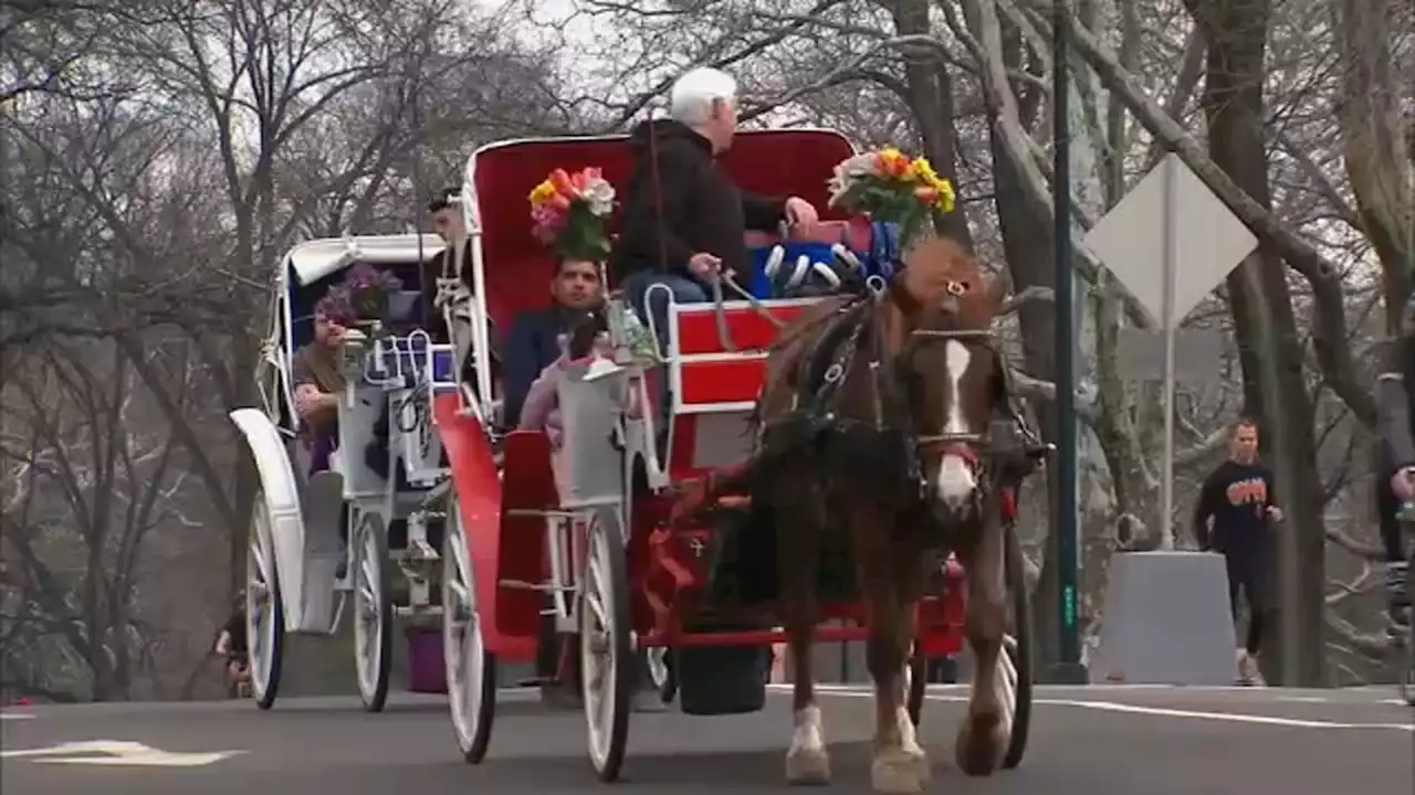 Animal rights activists call for end to NYC's horse-drawn carriages