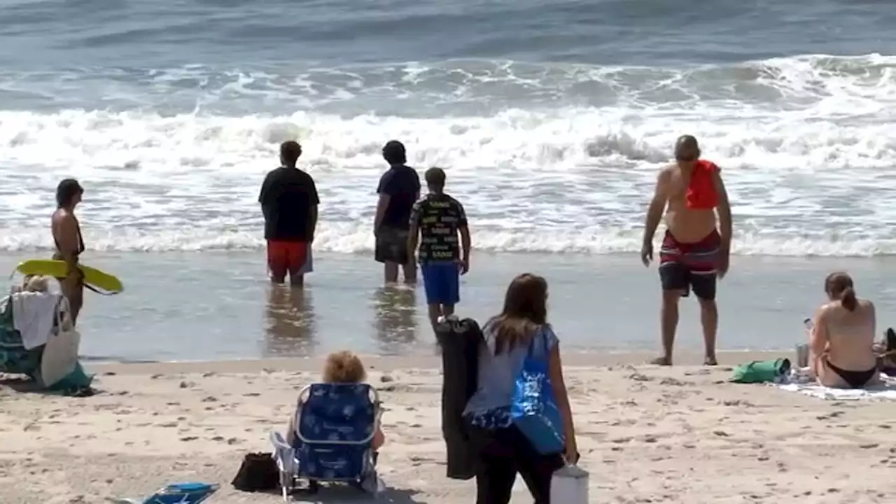 Long Island beachgoers urged to use caution after shark bite incidents