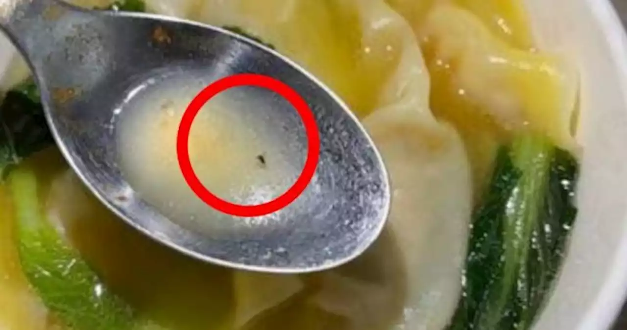 GrabFood, there's a fly in my soup: Delivery platform rejects woman's refund request, here's why