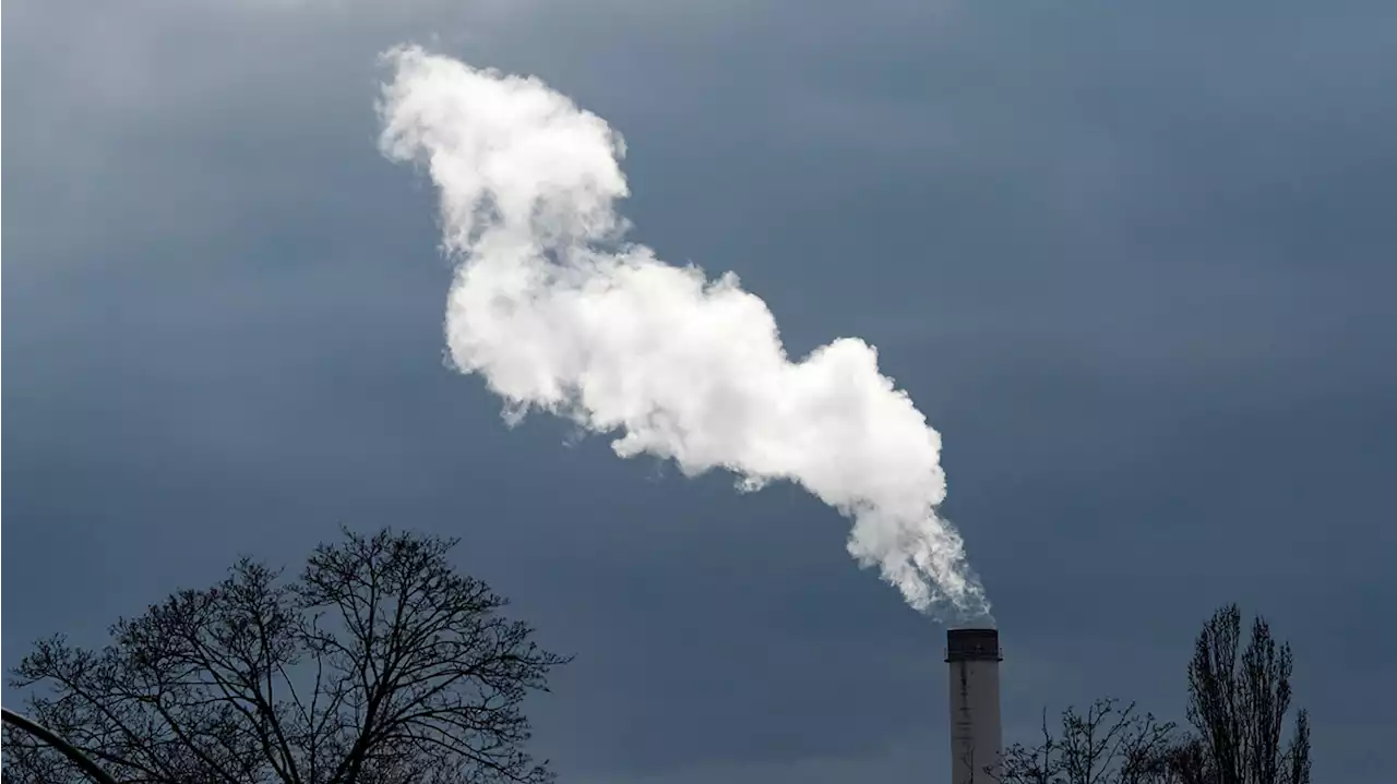 Volksbegehren für mehr Klimaschutz in Berlin startet