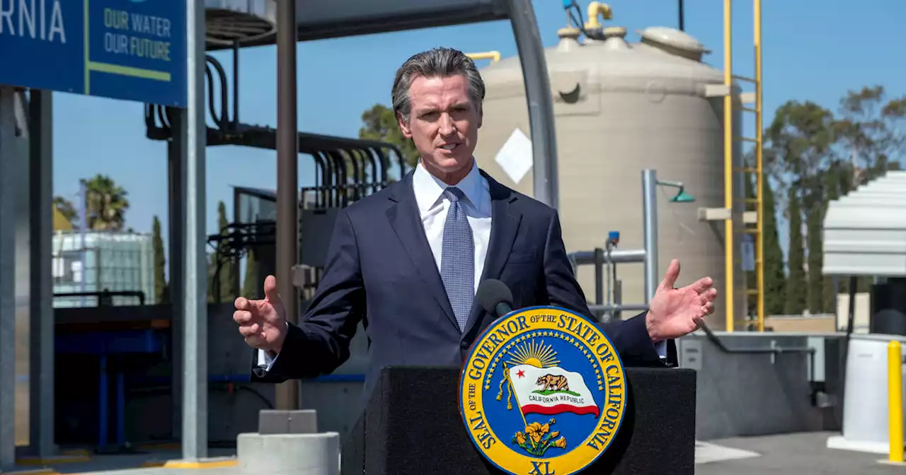 Newsom visit to Washington D.C. spurs more speculation on his future political plans