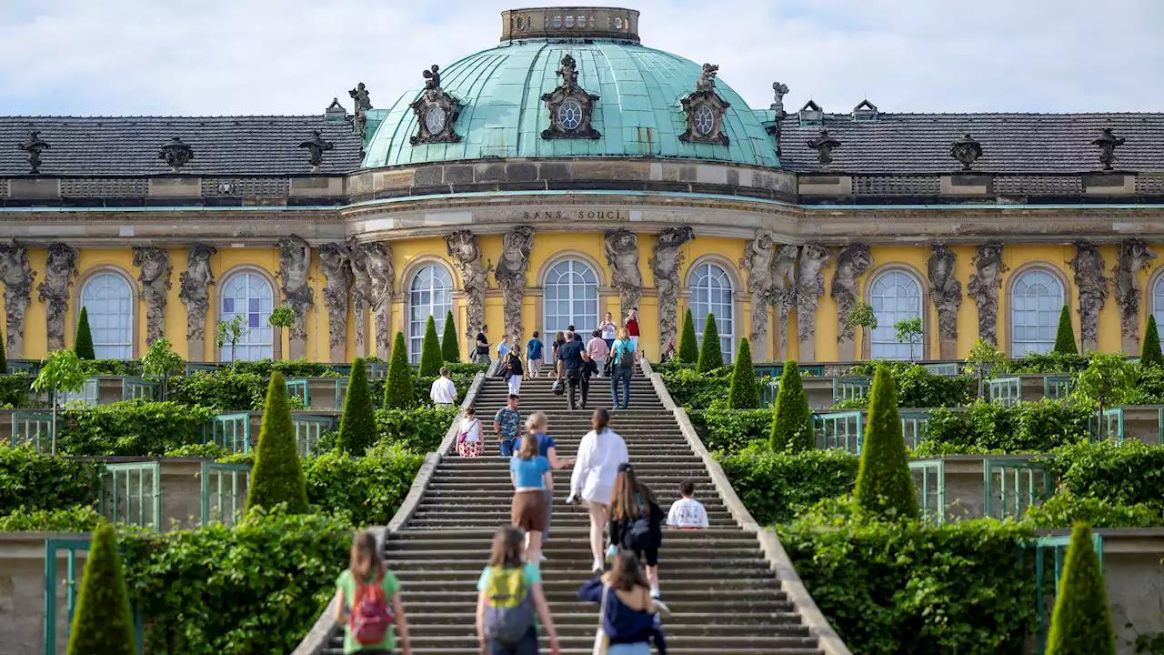 Corona-Inzidenz in Brandenburg bleibt auf hohem Niveau