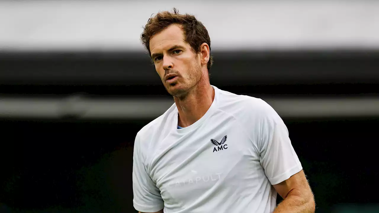 Andy Murray verrät: Diese aktuellen Tennisprofis würde ich gerne trainieren