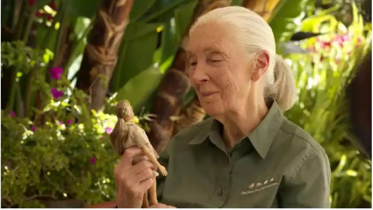 Jane Goodall Barbie doll debuts ahead of World Chimpanzee Day