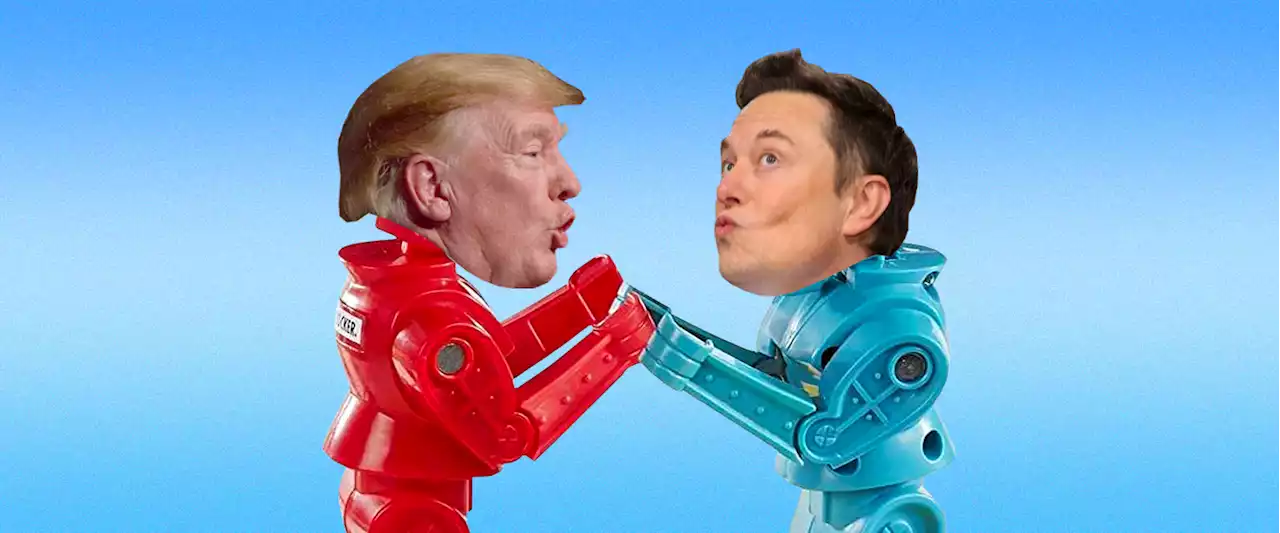 Donald Trump vs. Elon Musk Isn’t Even a Fair Fight