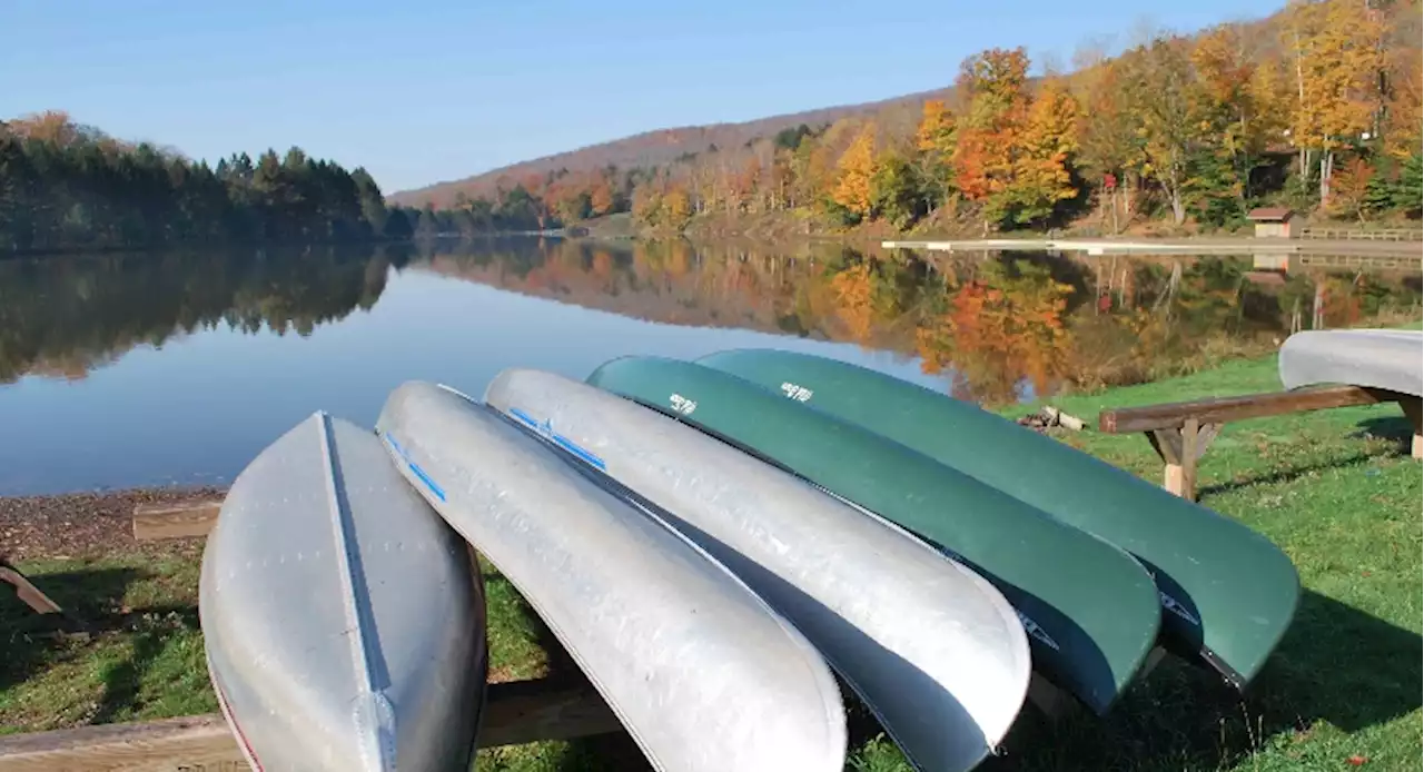 COVID-19 outbreak hits popular summer camp for New Yorkers