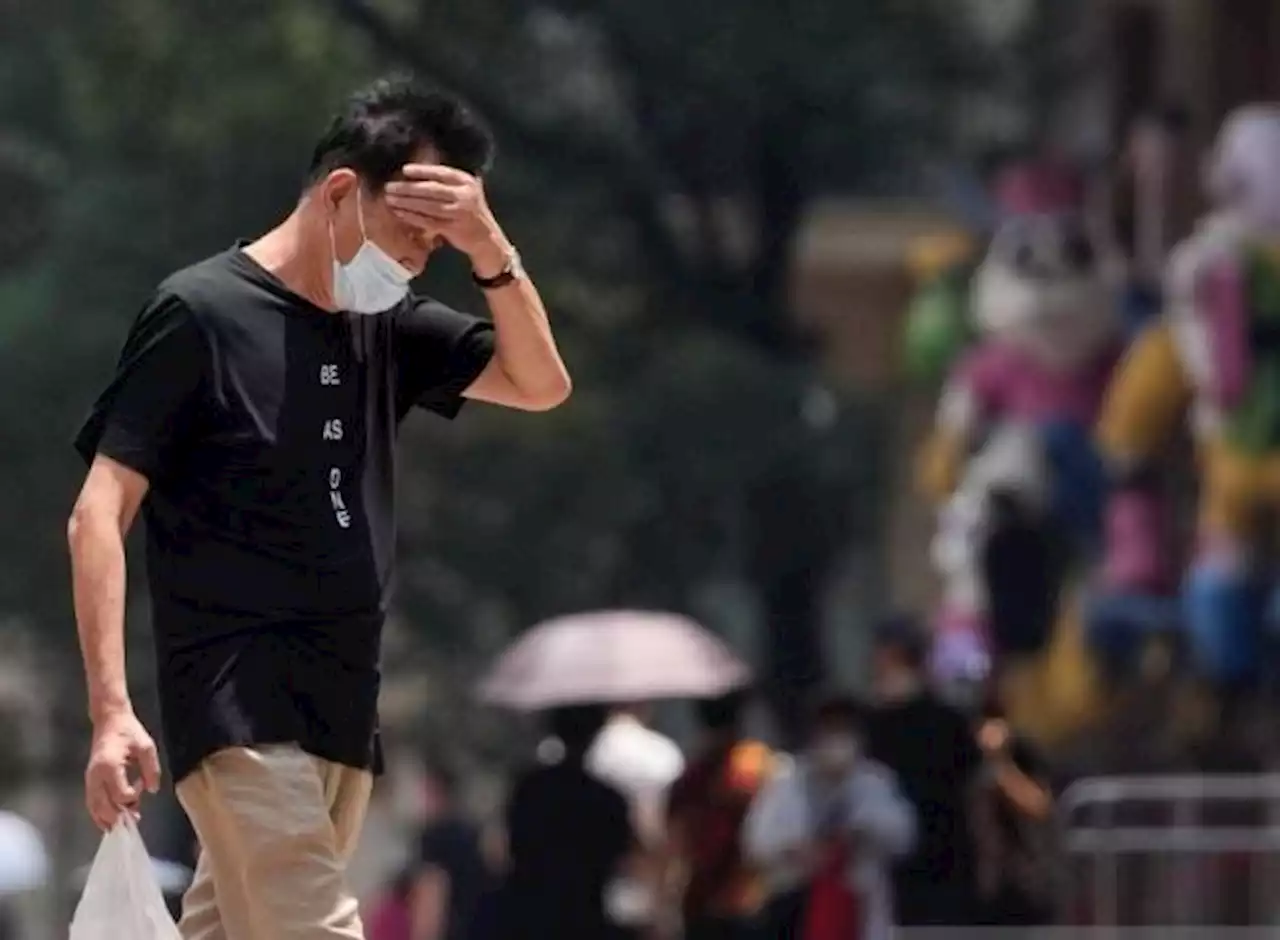 Shanghai Waspada Panas Ekstrem, Suhu Bisa Capai 40 Derajat Celcius