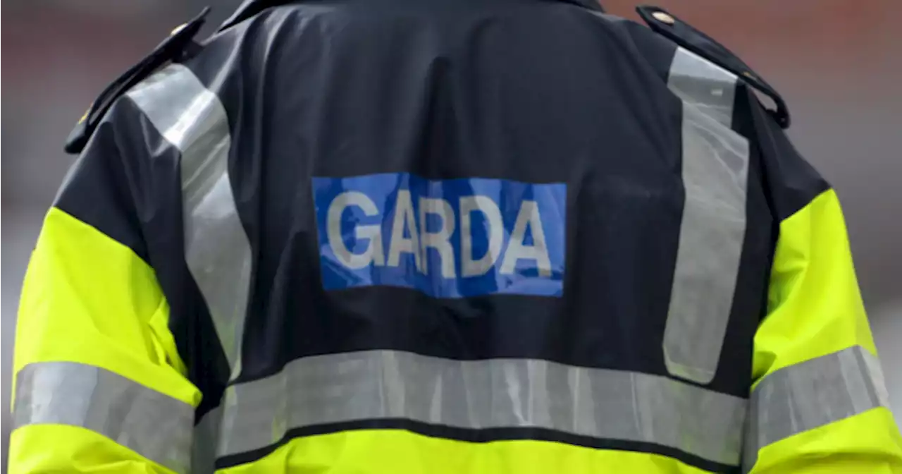 Man arrested in Dublin as part of investigation into fraud of almost €170,000 | JOE.ie