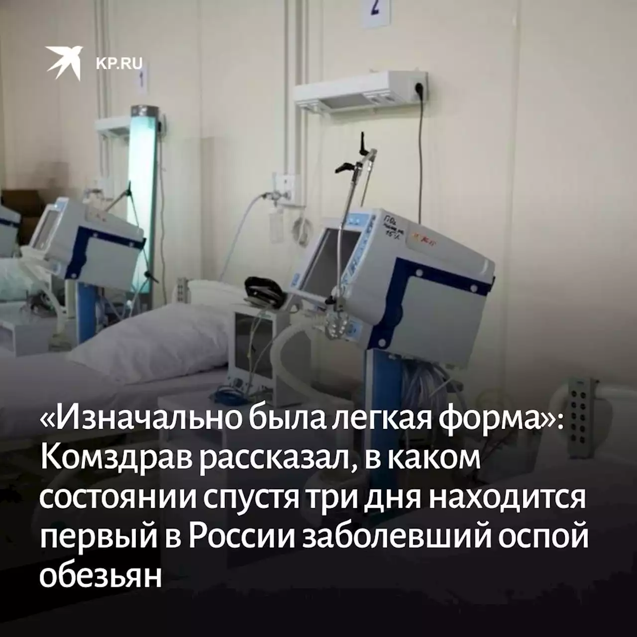 «Изначально была легкая форма»: Комздрав рассказал, в каком состоянии спустя три дня находится первый в России заболевший оспой обезьян