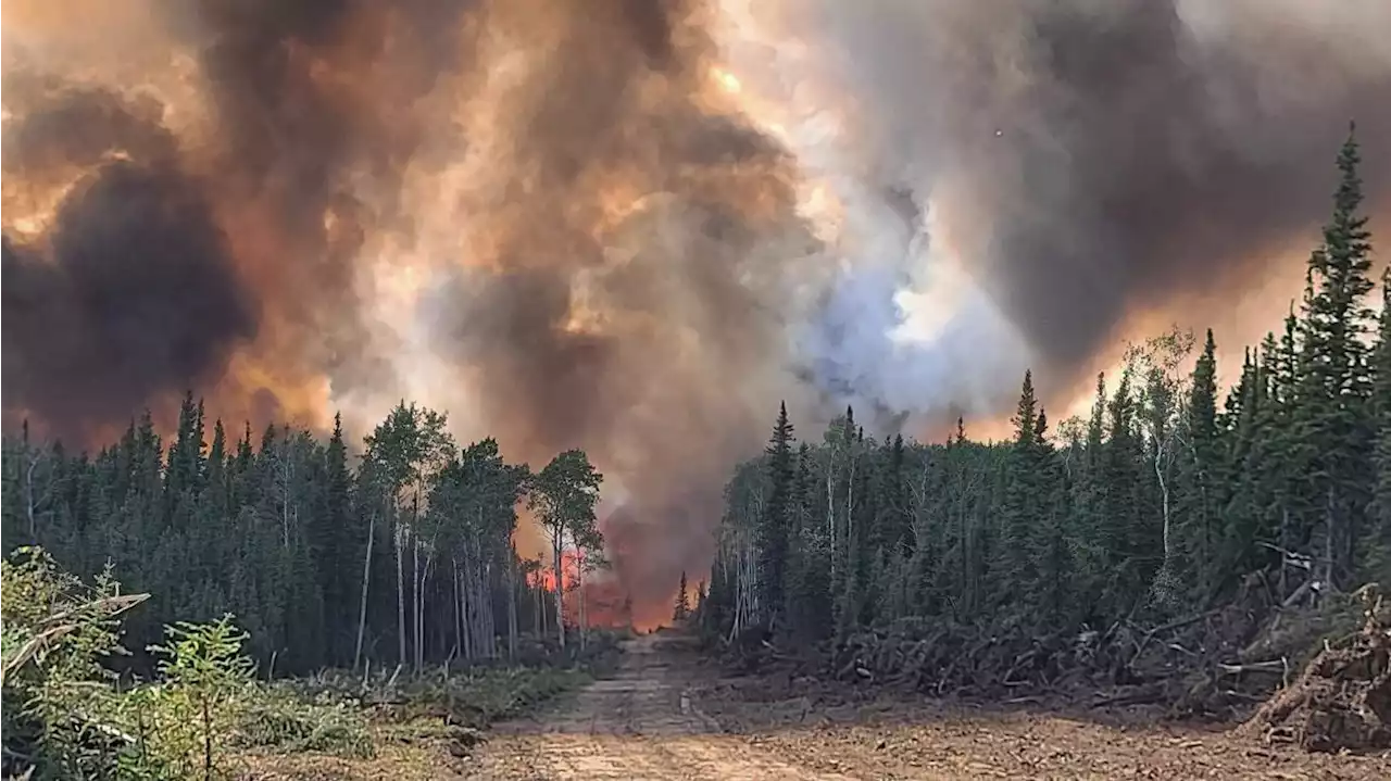 The Clear Fire burned one year-round home and several cabins last week