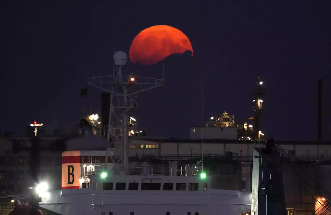 Glühend rot: So schön war der Supermond in Hamburg