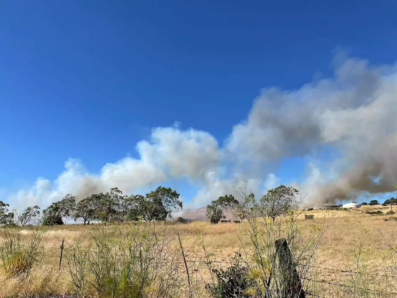 Bay Area Fires: Grass Fire Breaks Out in Benicia