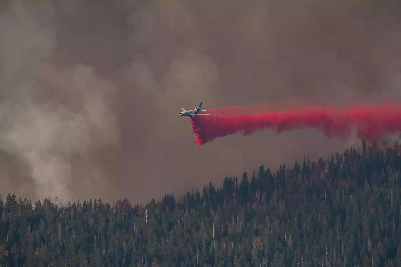 Yosemite Wildfire Moving East Into Sierra National Forest