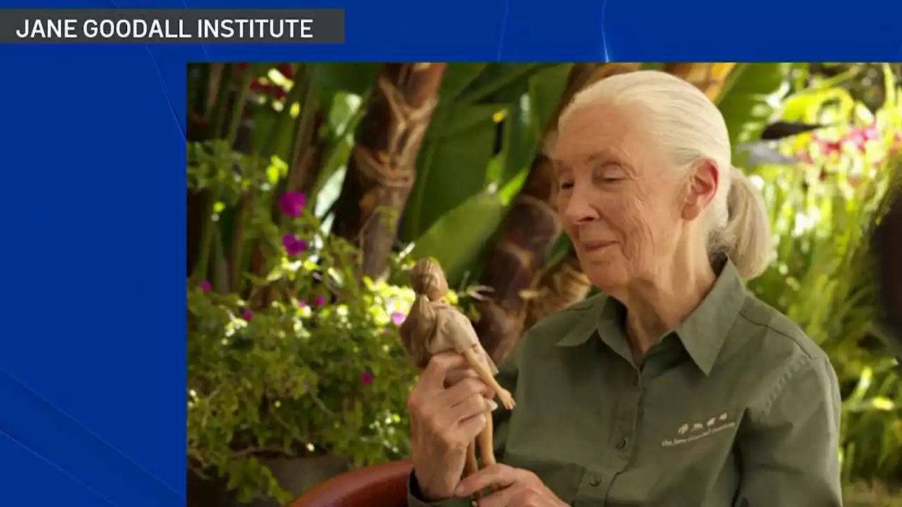 Mattel Inc. Unveils New Barbie Doll Dedicated to Dr. Jane Goodall