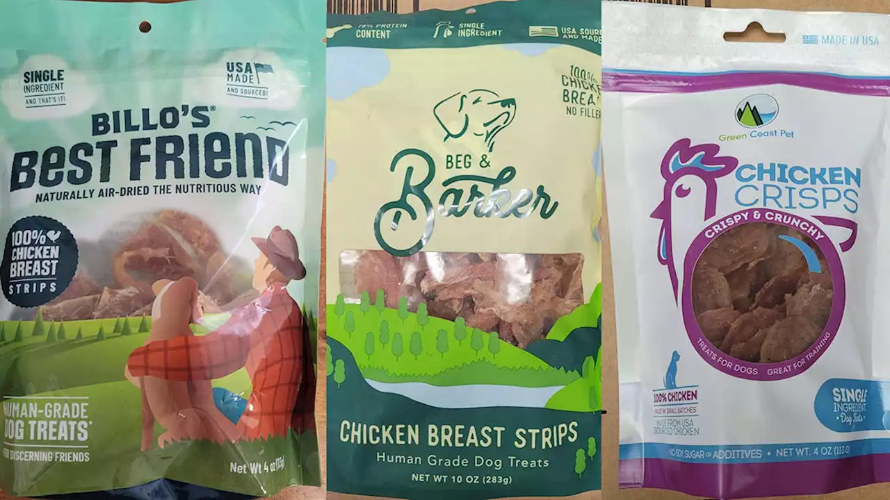 Dog Treats Recalled Due to Possible Salmonella Contamination