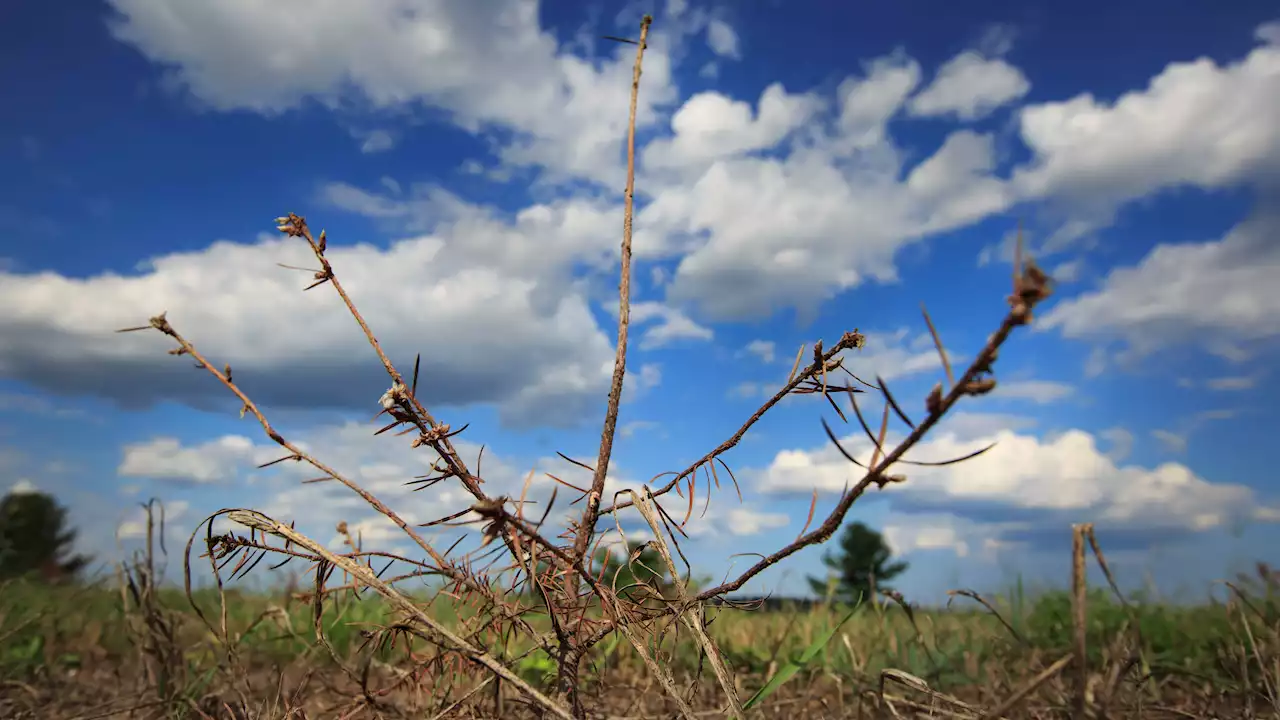 Concerns Mount as 90% of Mass. Reaches Significant Drought Conditions