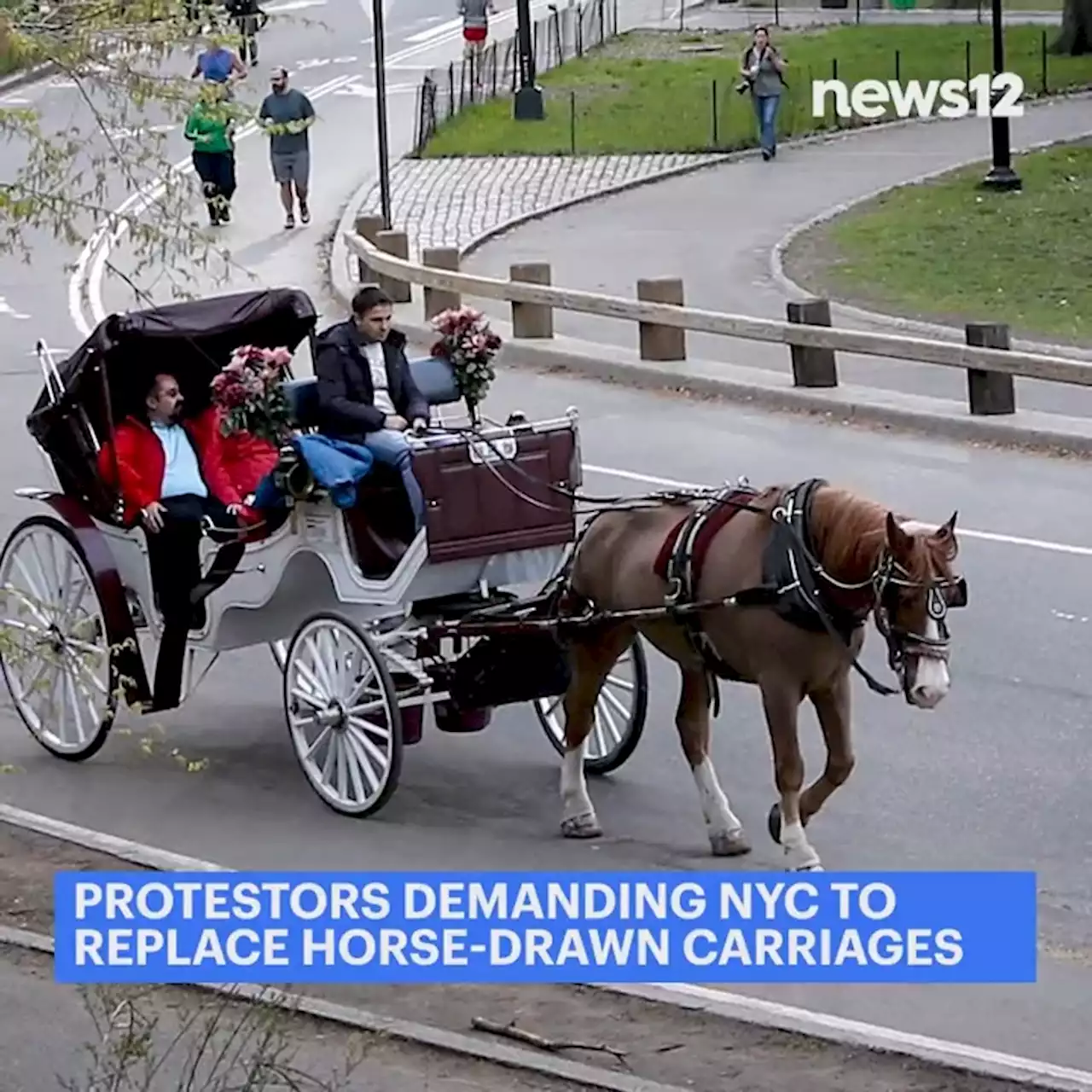 Protesters demand NYC officials replace horse-drawn carriages with electric carriages