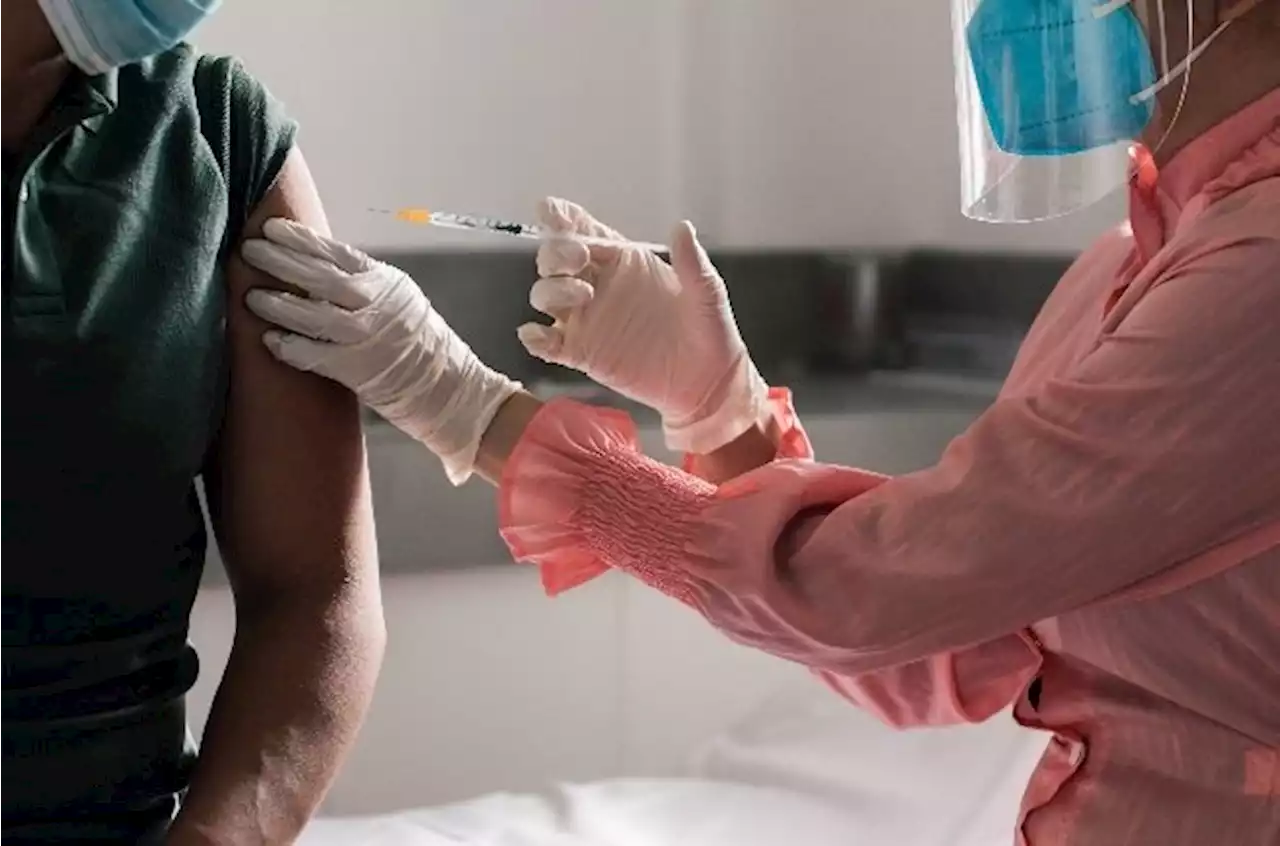 EXPLAINER | Fired for refusing vaccinations: Expert insight on what the law says | News24