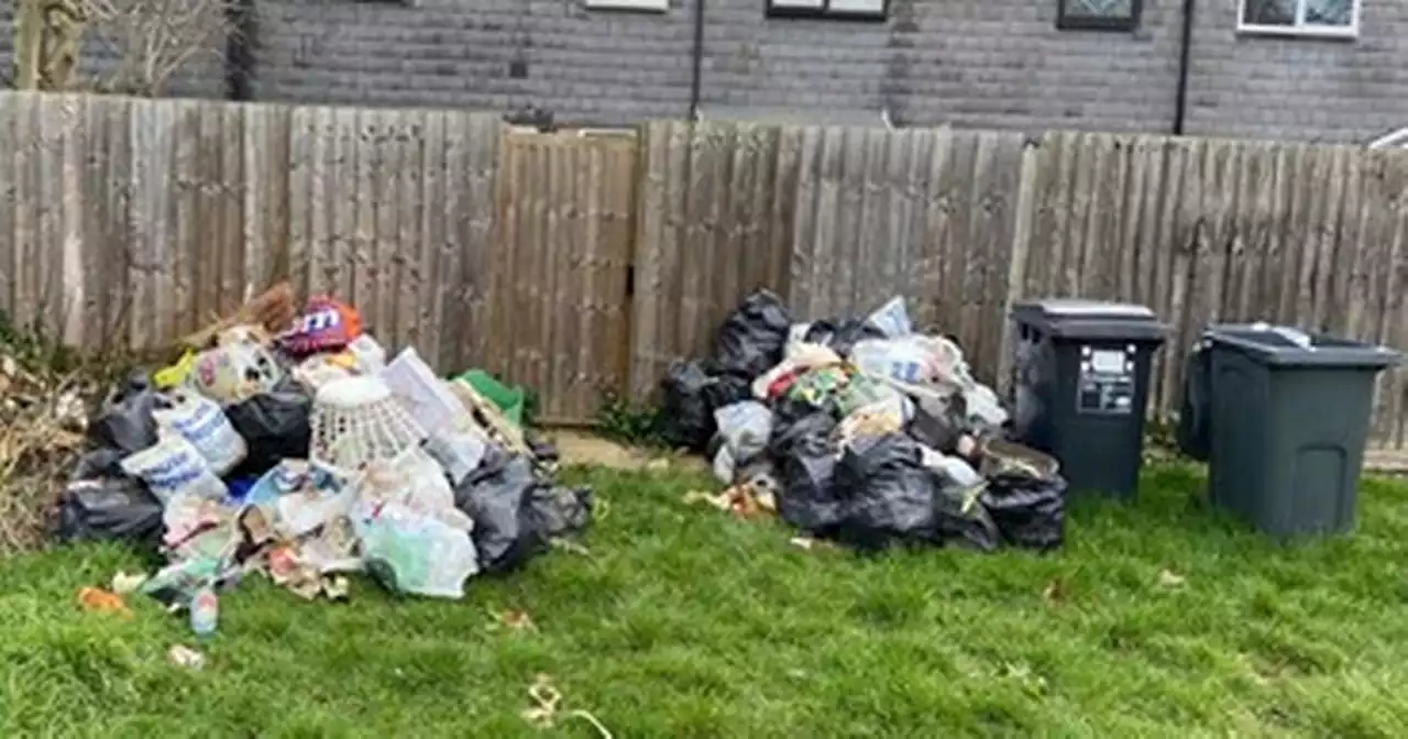 Woman fined £1.6k after council took her to court for dumping rubbish