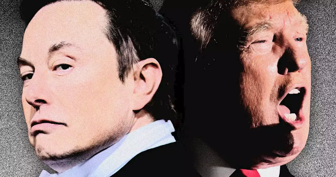 The Donald Trump–Elon Musk Feud: A Complete History