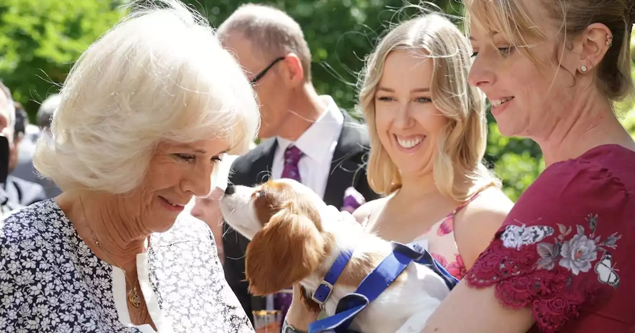 Camilla celebrates 160 years of Battersea dog and cats home with Amanda Holden