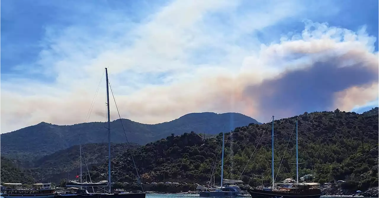 Strong winds fan forest fire in southwestern Turkey