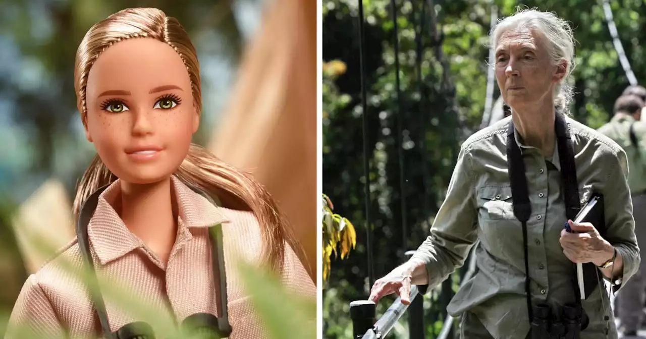 Jane Goodall Just Got Her Own Barbie Doll